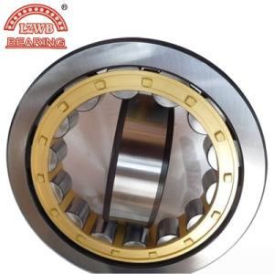 Hot Sale Cylinderical Roller Bearing with Double Row (NNU4938K)