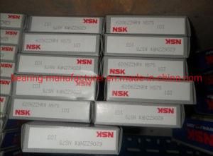 NSK 6206zznr Deep Groove Ball Bearing with Double Shielded Wholesales