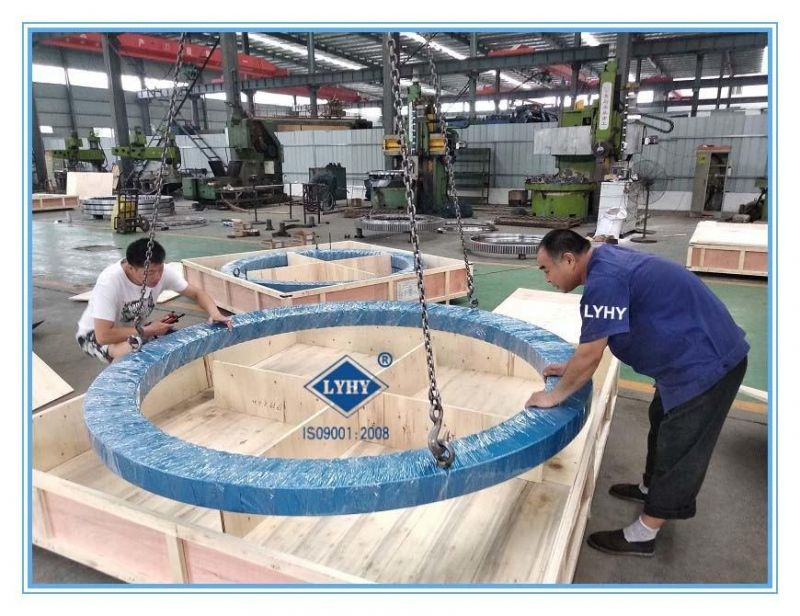 Supply Single Row Ball Slewing Ring Bearing Turntable Bearing External Gear Bearing Hsw. 35.1250