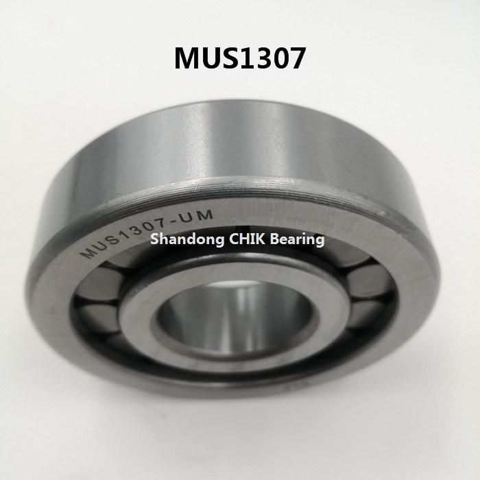 Auto Bearing Car Bearing Cylindrical Roller Bearing MU1306 MU1307 MU1308 MU1309