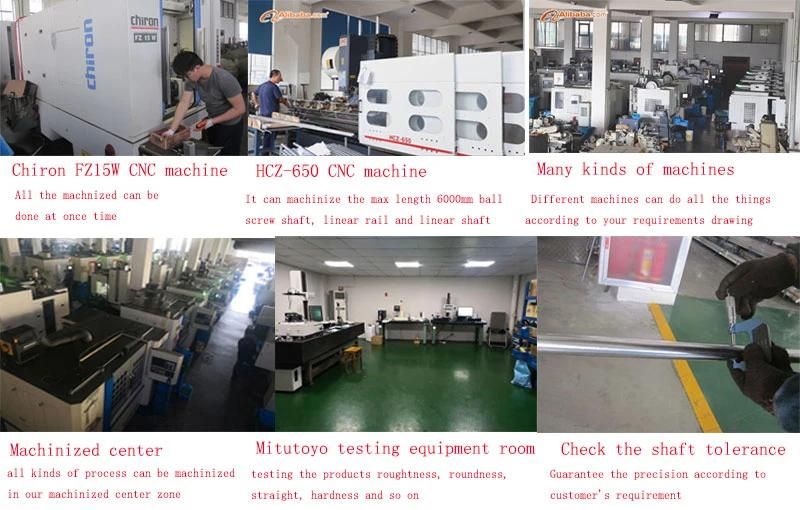 Linear Bearing with Europe Standard Lme Series