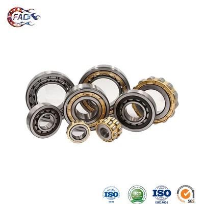 Xinhuo Bearing China Self Aligning Ball Bearing OEM 6311 Zz Bearing Nj1010m in Nup Type Cylindrical Roller Bearing