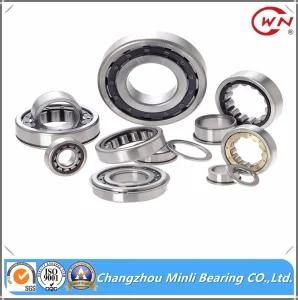 China Cylindrical Roller Bearing Nu2210ecp with Good Performance