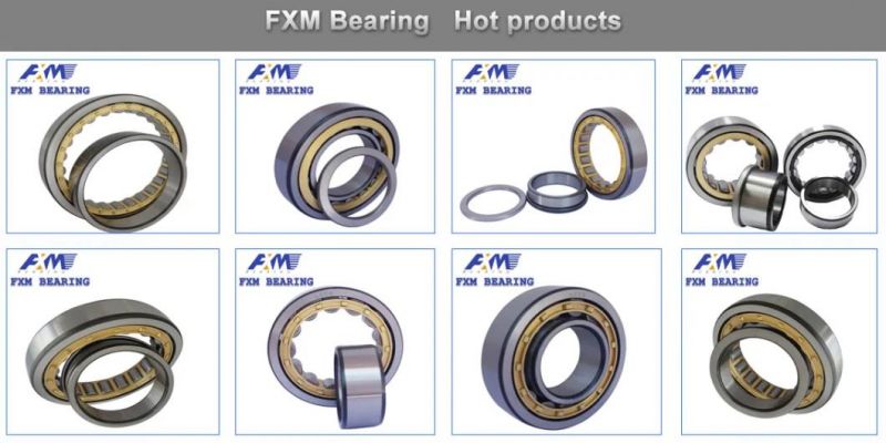 Stainless Steel Insert Ball Bearing with Grease Lubricated for Chemical, Food Industry