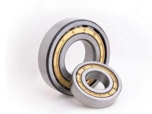 Heavy Duty 30*55*13 mm Cylindrical Roller Bearings N1006