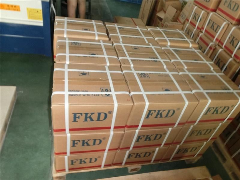 Fkd/Fe/Hhb Pillow Blocks, Ball Bearings, Housings, (UCP312, SB204, SB206, h2307)