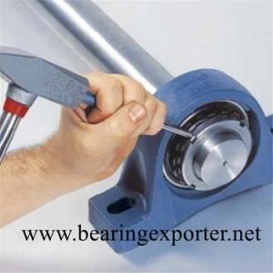 Pillow Block Bearing Unit Sbpft202 with Bearing Sb202