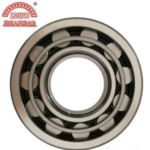 Cylinderical Roller Bearing with High Quality and Best Price