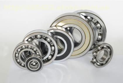 Deep Groove Ball Bearing Tapered/Taper/Spherical/Cylindrical/Self-Aligning/Needle/Thrust