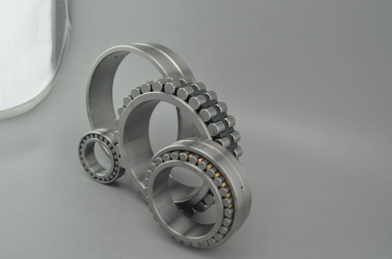 China High Performance Cylindrical Roller Bearings N1008K with Good Price
