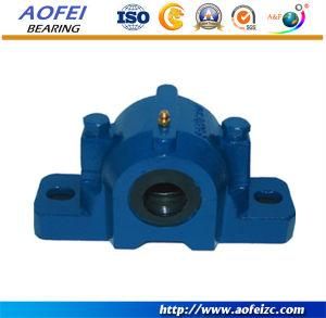 Pillow Bearing, Bearing with House (OEM non-standard bearings)