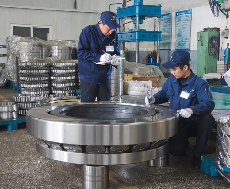 900mm Nnu49/900 44829/900 Double Rows Cylindrical Roller Bearing