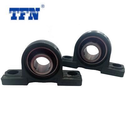 Lp206 Germany Standard 30mm M14 Cast Iron Pillow Block Bearing