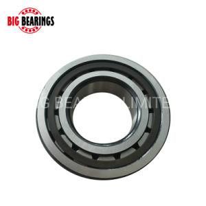 Roller Bearing NJ NU NF1007 1008 1009 EM P6 Cylindrical Roller Bearing