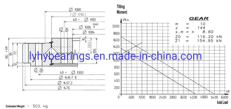 Slewing Bearing Ring Bearing for Floating Crane 06-1250-21