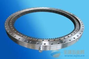 Q Series Single-Row Slewing Bearing