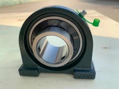 High Quality Ucpa Pillow Block Bearing with Good Price