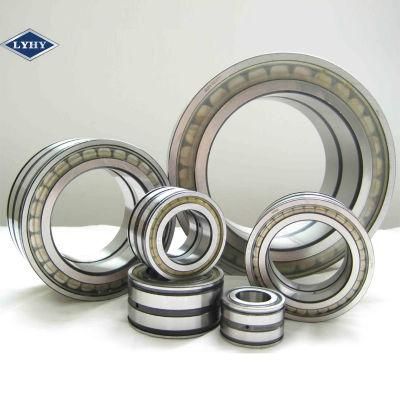 Doulbe Row Full Complement Cylindrical Bearing (NNCL4980CV)