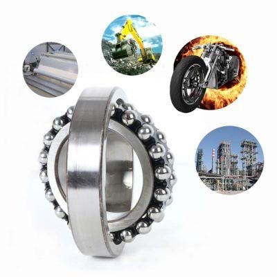 SKF NTN Bearing Single Row Double Row Brass/Steel/Nylon Cage Self-Aligning Ball Bearing 1206/1207/1208