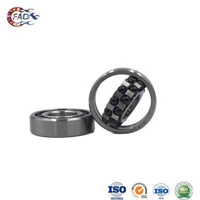 Xinhuo Bearing China Auto Bearing Manufacturers 6206 Zz11317 Selfaligning Ball Bearing