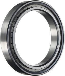 Full Complement Cylindrical Roller Bearings SL183052-Tb SL183048-a SL183044-a SL183040-a SL183038-a SL183036-a SL183034-a SL183032-a SL183030-a