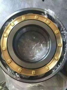 Chrome Steel Cylindrical Roller Bearing N314e Bearing with Good Quality