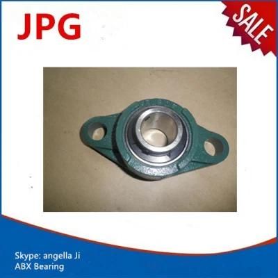 Cast Iron Pillow Block Bearing with Housing Ucfl208 Ucfl 209