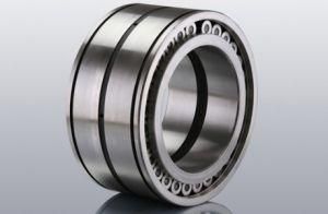 SL04 Series Double-Row Full Complement Cylindrical Roller Bearings with Snap Groove
