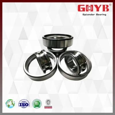 6304 6305 6306 Deep Groove Ball Bearing with Bust Cover Low Noise for Motor Reducers Electric Vehicles