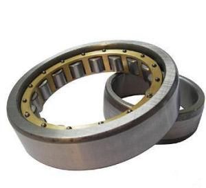 A&F Bearing factory supply cylindrical roller bearings