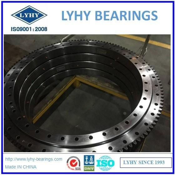 Lyhy Single Row Ball Slewing Bearings with External Gear 2ie. 089.00